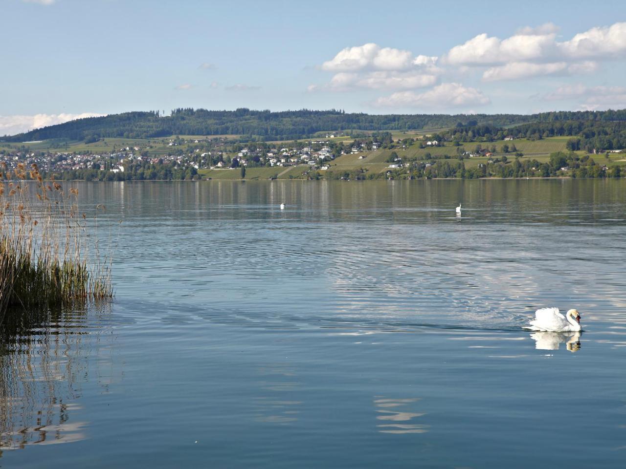 Hotel-Restaurant-Schifflaende Birrwil Esterno foto